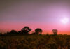 Castilla-La Mancha llega este viernes a los 29 grados en Toledo, con noches más frescas y cielos variables Castilla-La Mancha llega este viernes a los 29 grados en Toledo, con noches más frescas y cielos variables