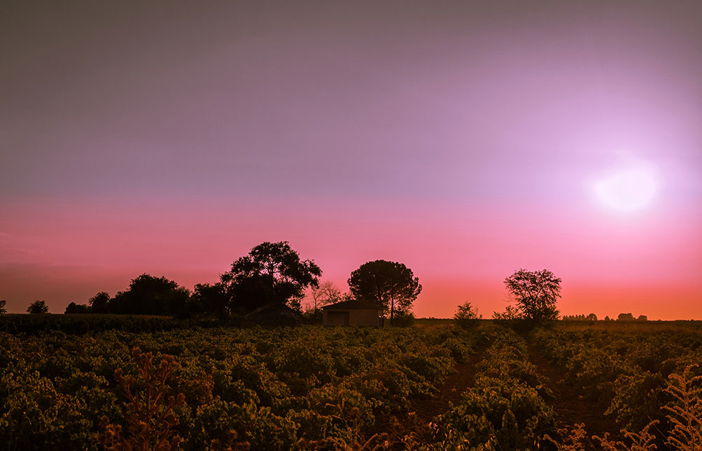 Castilla-La Mancha llega este viernes a los 29 grados en Toledo, con noches más frescas y cielos variables