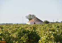 Castilla-La Mancha recupera la estabilidad este sábado, con máximas de hasta 21 grados y heladas en zonas altas Castilla-La Mancha recupera la estabilidad este sábado, con máximas de hasta 21 grados y heladas en zonas altas