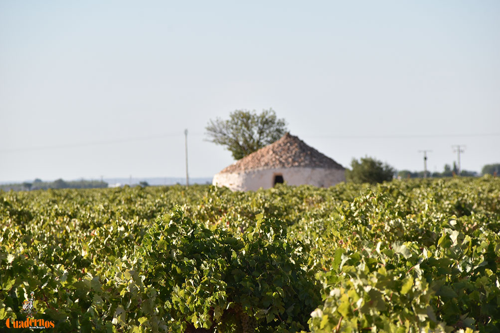 Castilla-La Mancha recupera la estabilidad este sábado, con máximas de hasta 21 grados y heladas en zonas altas