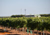 Castilla-La Mancha despide la semana con sol y máximas de hasta 23 grados Castilla-La Mancha despide la semana con sol y máximas de hasta 23 grados