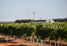 Castilla-La Mancha despide la semana con sol y máximas de hasta 23 grados Castilla-La Mancha despide la semana con sol y máximas de hasta 23 grados