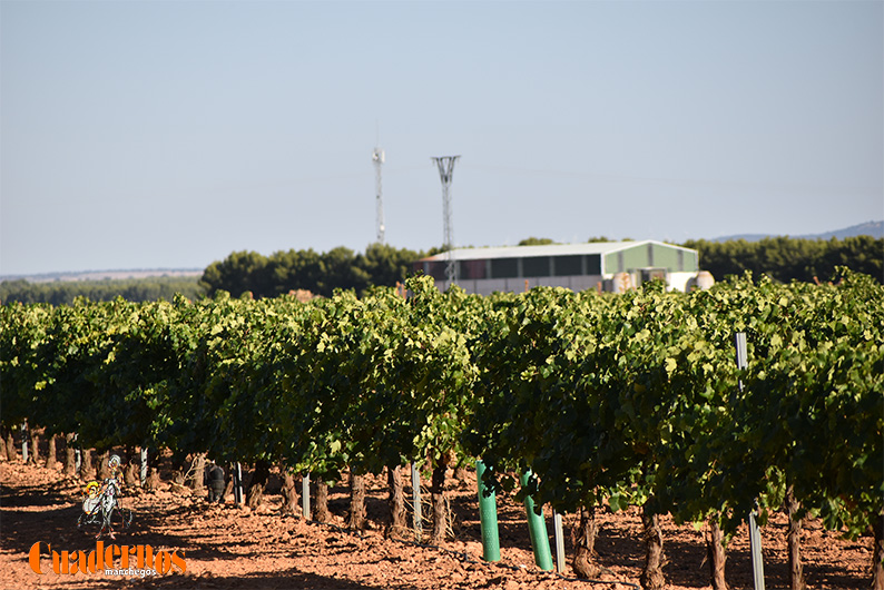 Castilla-La Mancha despide la semana con sol y máximas de hasta 23 grados