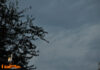 Castilla-La Mancha despierta con una jornada seca y máximas de hasta 22 grados en las capitales Castilla-La Mancha despierta con una jornada seca y máximas de hasta 22 grados en las capitales