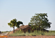 El tiempo en Tomelloso hoy 3 de octubre: jornada marcada por los chubascos y la nubosidad El tiempo en Tomelloso hoy 3 de octubre: jornada marcada por los chubascos y la nubosidad