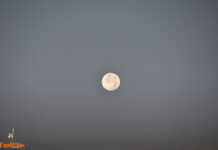 Tomelloso encara un martes seco y templado, con hasta 22 ºC y cielos poco nubosos Tomelloso encara un martes seco y templado, con hasta 22 ºC y cielos poco nubosos