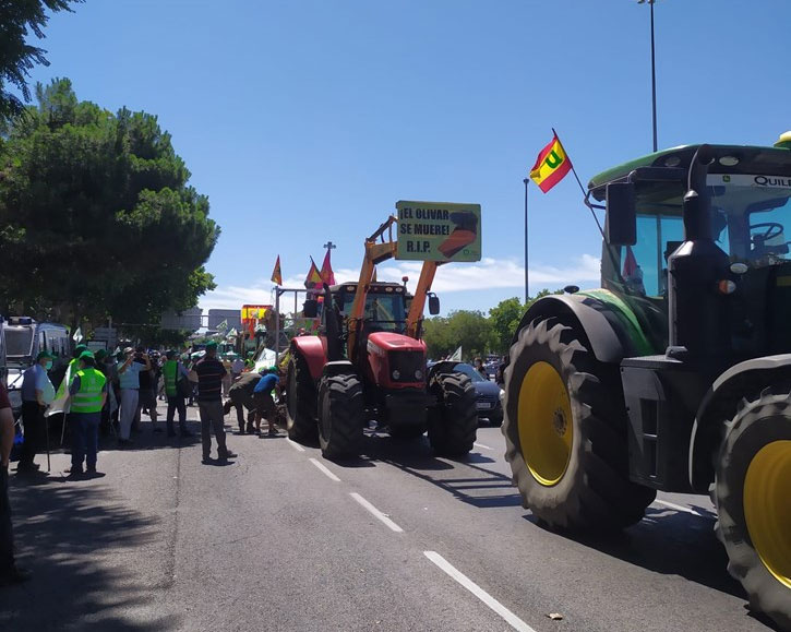ASAJA, COAG Y Unión de Uniones convocan una gran tractorada en Madrid el 28 de octubre por un acampo con futuro