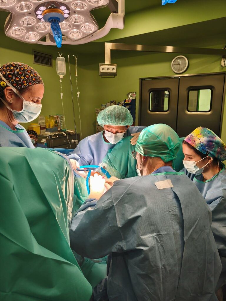 Los profesionales del Servicio de Urolog&iacute;a del Hospital Universitario Mancha Centro perfeccionan las t&eacute;cnicas quir&uacute;rgicas para tratar la incontinencia urinaria masculina